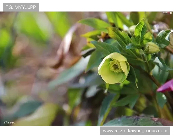 ¦ó+Í+--¦Âó¦¦++Á--¢¦-ú¦+ÀÍÌÎÒÃ=Á-+½ð-i­¦¦+_-Ù